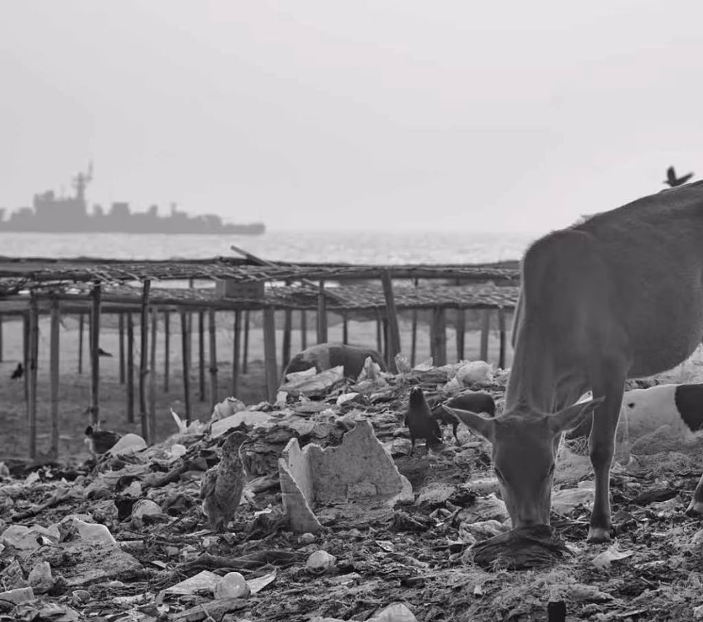 RAPID ASSESSMENT ON PLASTIC WASTE GENERATION & MANAGEMENT PRACTICES ON ST. MARTIN’S ISLAND