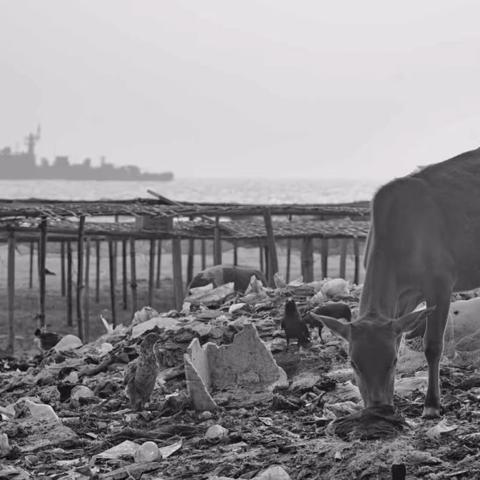 RAPID ASSESSMENT ON PLASTIC WASTE GENERATION & MANAGEMENT PRACTICES ON ST. MARTIN’S ISLAND